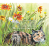 image 2023 cats in the country wallpaper august width=&quot;1000&quot; height=&quot;1000&quot;